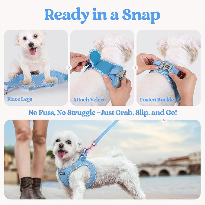rabbitgoo Dog Harness Small Sized and Leash Set, Step in Soft Light Puppy Vest, Breathable Mesh Pet Harness, Reflective for Safe Easy Walking, Blue & Plaid Trim S