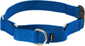 PetSafe Martingale Collar with Quick-Snap Buckle - Adjustable No-Slip Quick Release Dog Collar - Everyday Wear No-Pull Training Aid - 3/4" Wide - Small - Royal Blue