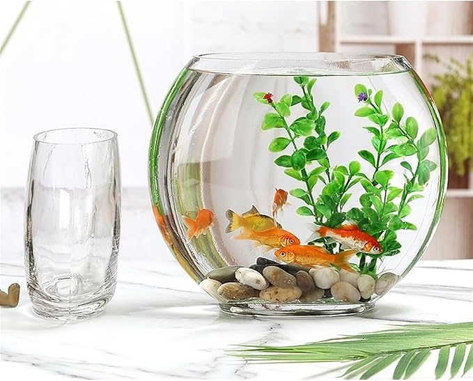 Aquariums Fish Bowl Creative Oval Glass Small Goldfish Fish Tank Home Desktop Decoration Transparent Glass Fish Tank Fish Tanks(Large)
