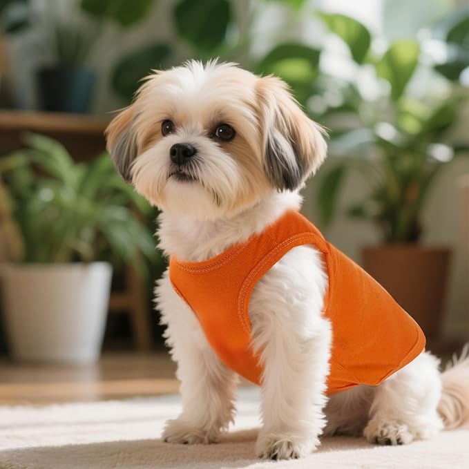 4 Pcs Cat Shirts Solid Color Dog Clothes Summer Sleeveless Pet T Shirts for Small Pet Dogs Cat (Black,Grey,Red,Orange, Medium)