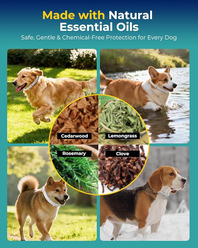 Flea Collar for Dogs, Natural Essential Oil, Waterproof & Adjustable Design, Long-Lasting Protection for Small Dogs & Puppies, Soft Upgraded Material, Grey (4-Pack)