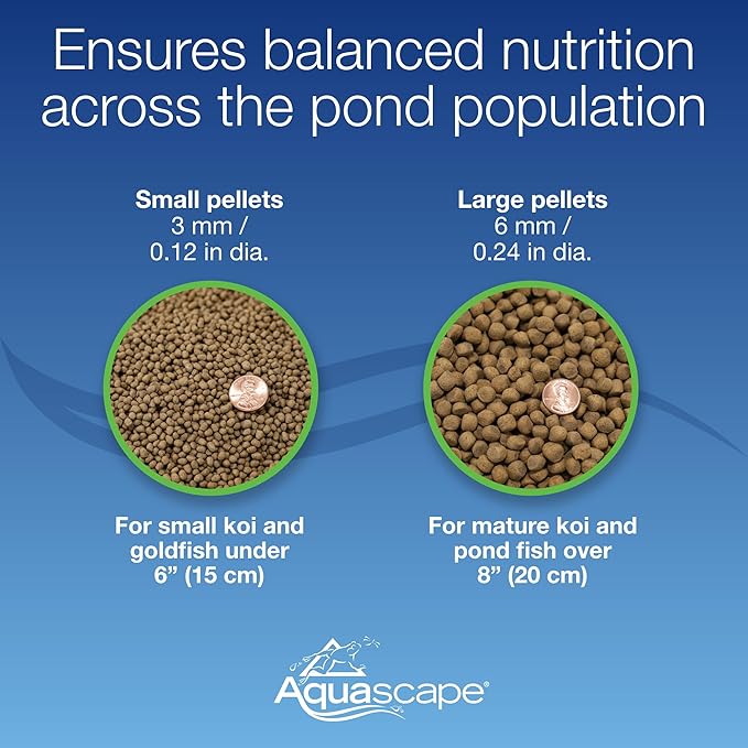 Aquascape Premium Color Enhancing Fish Food for Small to Medium Koi and Other Pond Fish, Medium Pellet, 2.2 Pounds | 98874