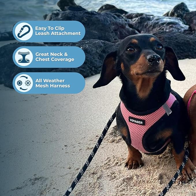 Best Pet Supplies Voyager Step-in Air Harness - All Weather Mesh, Reflective, No Pull Harness for Dogs, Cats - Secure with Hook & Loop Fastener, Buckle, Double D-Rings - Pink/Black Trim, XS
