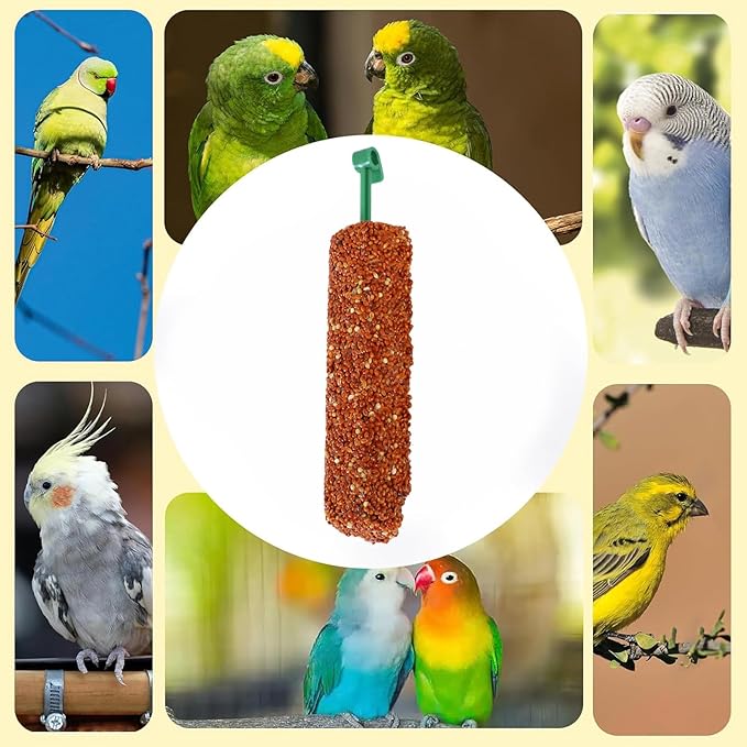 Parakeet Treats Sticks - Training and Chewing Bird Snacks for Parakeets, Finches, Conures with Nutrient-Rich | Reward Food for Myna, Parrot, Foraging, Healthy Snack, 2 Pack