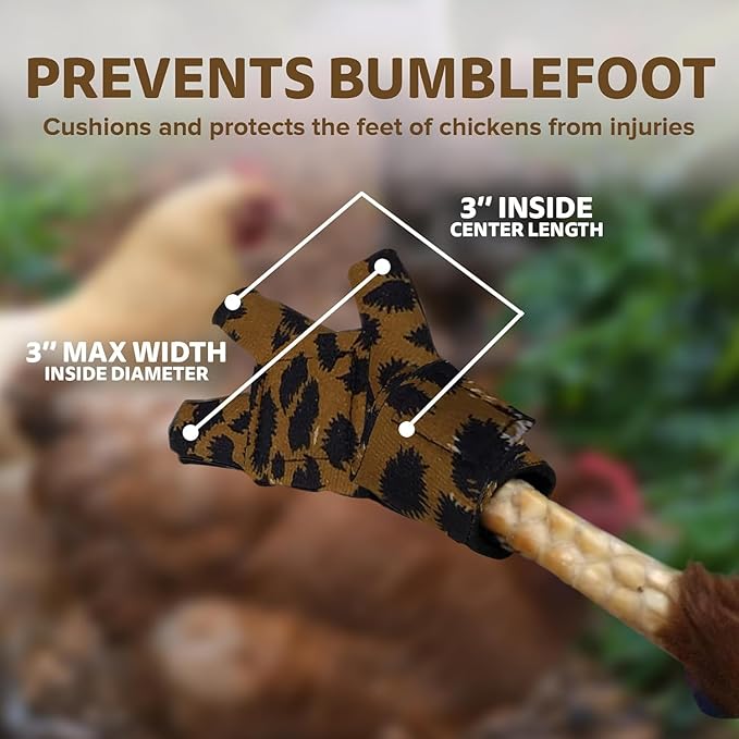 Chicken Shoes for Injured Feet – Protective Neoprene Footwear for Chicken, Open-Toe Design for Bumblefoot Relief, Made in USA (Chicken Shoes, Royal Blue, Medium Chickens)