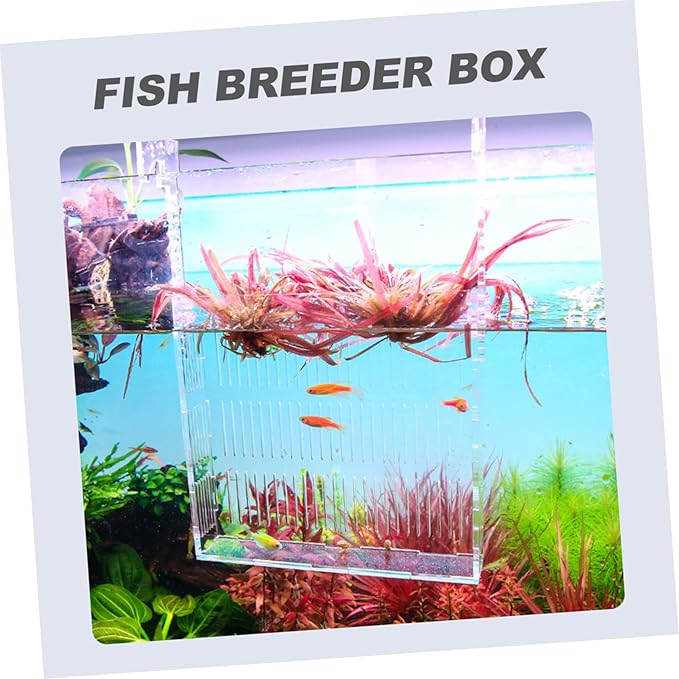 ERINGOGO Hanging Isolation Box for Guppy Breeding Acrylic Fish Tank Hatchery Easy Installation Hook Observation Design for Betta and Mini Parrot Fish