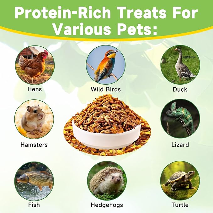 5LB Dried Black Soldier Fly Larvae Treat for Chicken, Non-GMO More Calcium Than Dried Mealworms 100% Natural High Protein Chicken Feed for Wild Birds, Layer Hens
