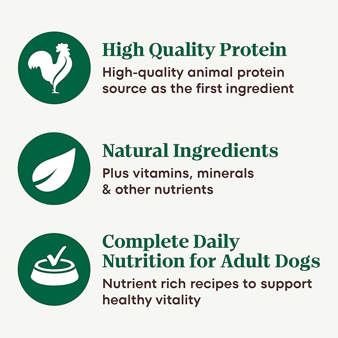 Nutro Natural Choice Cuts in Gravy Wet Dog Food, Grain Free Dog Food Wet Lamb and Beef Recipes Variety Pack, 3.5 oz. Trays (12 Count, Pack of 2)