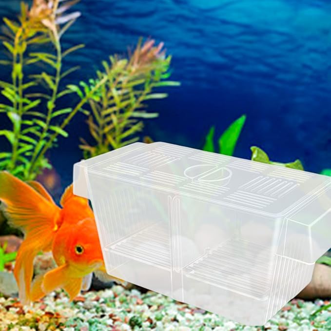 2PCS Clear Aquarium Breeding Box with 2 Divider Suction Cup for Fish Shrimp Fry Protections and Isolation Fish Breeding Tanks