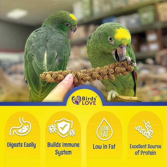 Birds LOVE Millet Tips & Tails for Birds - Parakeets, Cockatiels, Lovebirds, Budgies, Canaries, Cockatoos - Natural & Healthy Millet for Birds, Parakeet Food & Treats for all Parrots, 5oz (Pack of 94)