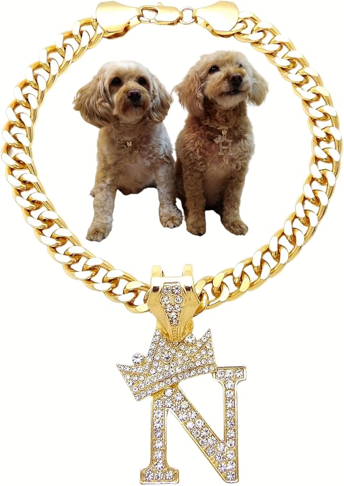 Initial Letter Cuban Chain Dog Chain Pet Chain Pet, Cat, Puppy Necklace (N, 10")
