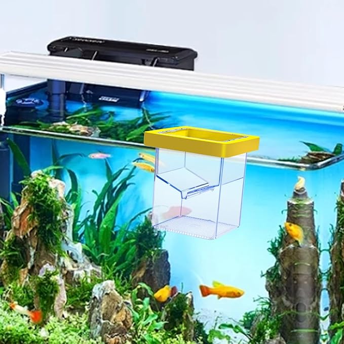Floating Breeder Box Acrylic Incubator for Shrimp Baby, Egg