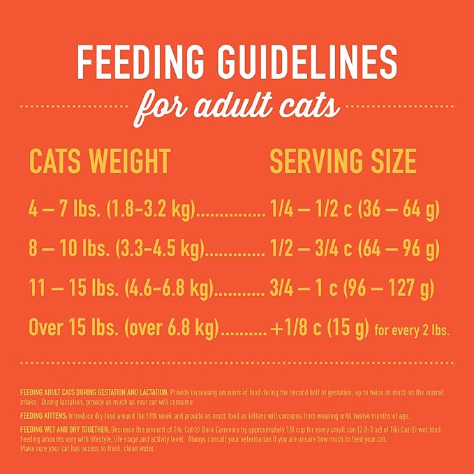 Tiki Cat Born Carnivore High Protein, Indoor Health, Chicken and Turkey Meal Recipe, Grain-Free Baked Kibble to Maximize Nutrients, Dry Cat Food, 3 lb. Bag