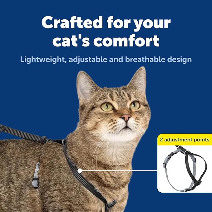 PetSafe Come With Me Kitty Cat Harness & Bungee Leash - Comfortable Cat Harness with Lightweight Bungee Leash for Outdoor Fun - More Secure Walks - Small - Black