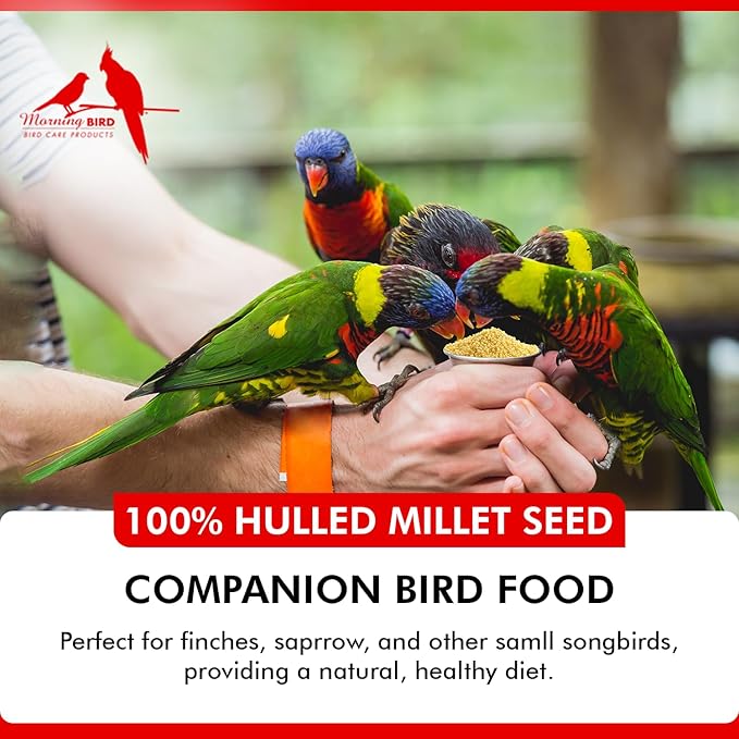 Morning Bird Hulled Millet 9 lbs – Nutritious Hulled Millet Seed - Waste Free - No Mess - Easily Digestible with High Fiber, Rich in Vitamins & Minerals for Birds, Ideal Bird Feed for All Bird Types