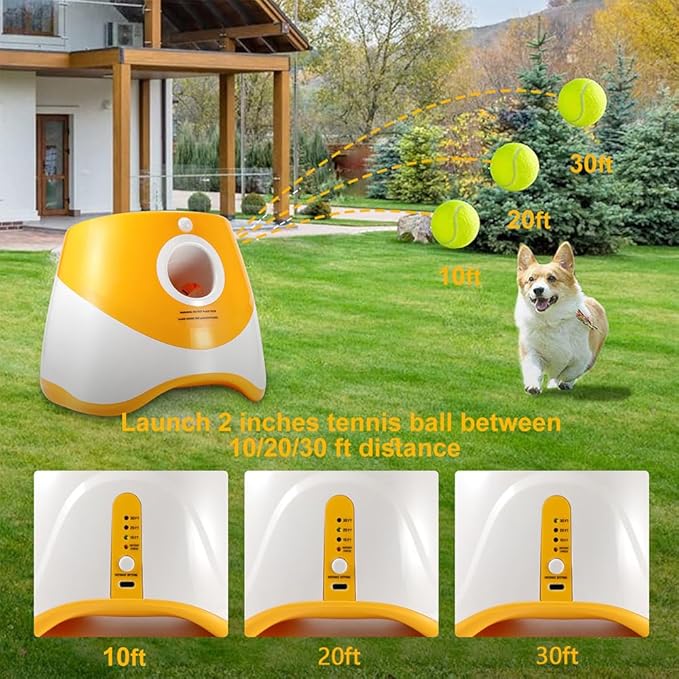 Interactive Dog Toys - Automatic Tennis Ball Launcher for Medium to Large Dogs, Outdoor Exercise & Training, Perfect Home Dog Toy 6 Ball (Purple, Standard)
