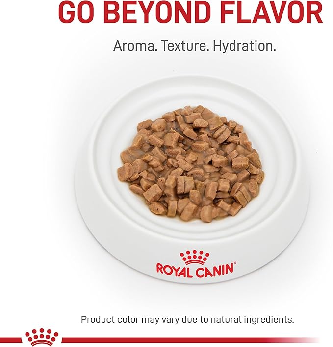 Royal Canin Feline Care Nutrition Digestive Care Adult Thin Slices in Gravy Cat Food, 5.1 oz (Pack of 24)