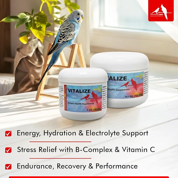 Morning Bird Vitalize for Birds 4.5 oz – Stress & Dehydration Support – Promotes Hydration, Energy, Balance & Muscle Recovery – Water-Soluble Supplement for All Bird Species