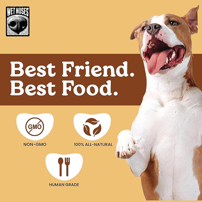 Wet Noses Organic Crunchy Dog Treats – All-Natural, Human-Grade, Non-GMO, Healthy Training & Delicious Snacks for Dogs, for All Dog Sizes & Breeds – Smoked Chicken, 14oz (2 Pack)