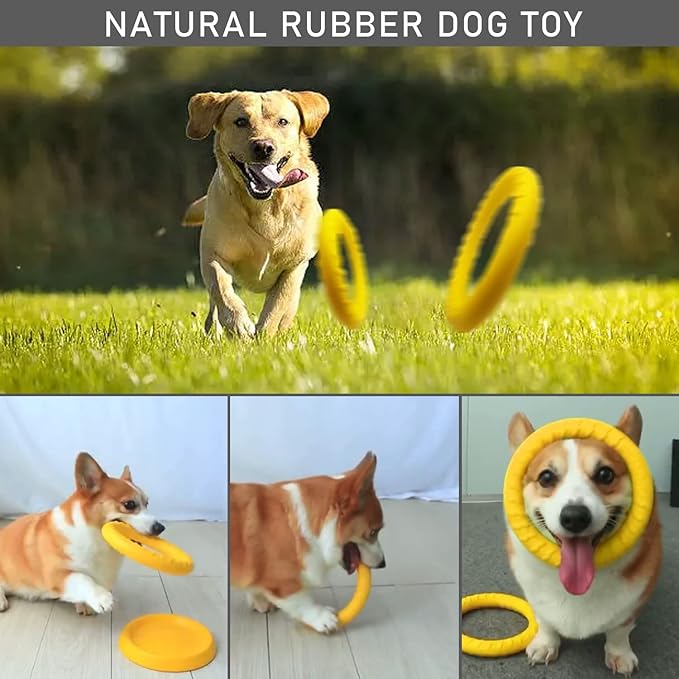 Dog Flying Disc,Floating Dog Ring Toys, Indestructible Dog Chew Toys for Small Chewers Dog Toys for Pool,Float Durable Outdoor &Indoor Puppy Toy for Throwing,Catching,Swimming,Training
