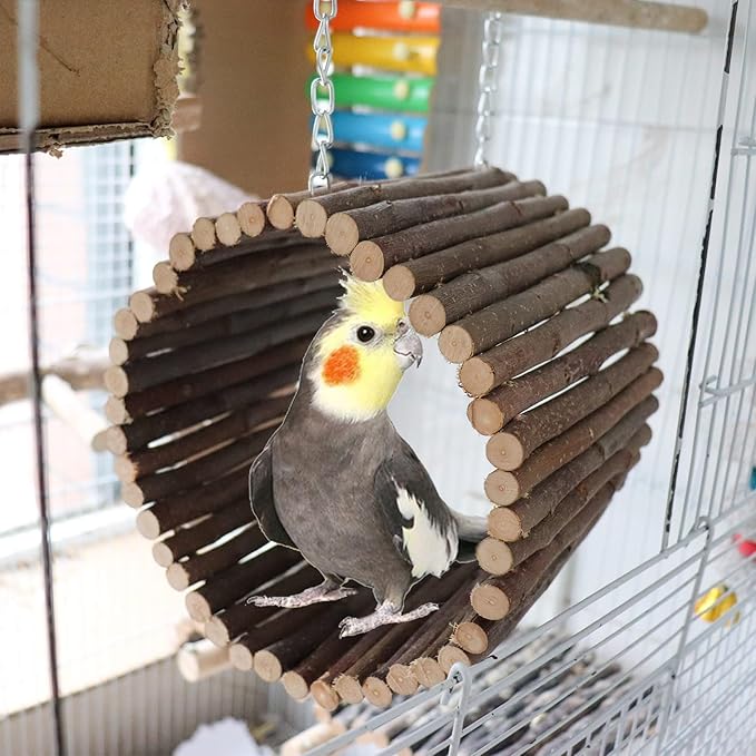 Bird Parrot Swing Toys, Hanging Bird Tree Caves, Natural Apple Wood Parrot Hammock, Bird Cage Accessories, Suitable for Little Bird Parakeets Cockatiels Lovebirds Hamster Rat (6.49" in Diameter)