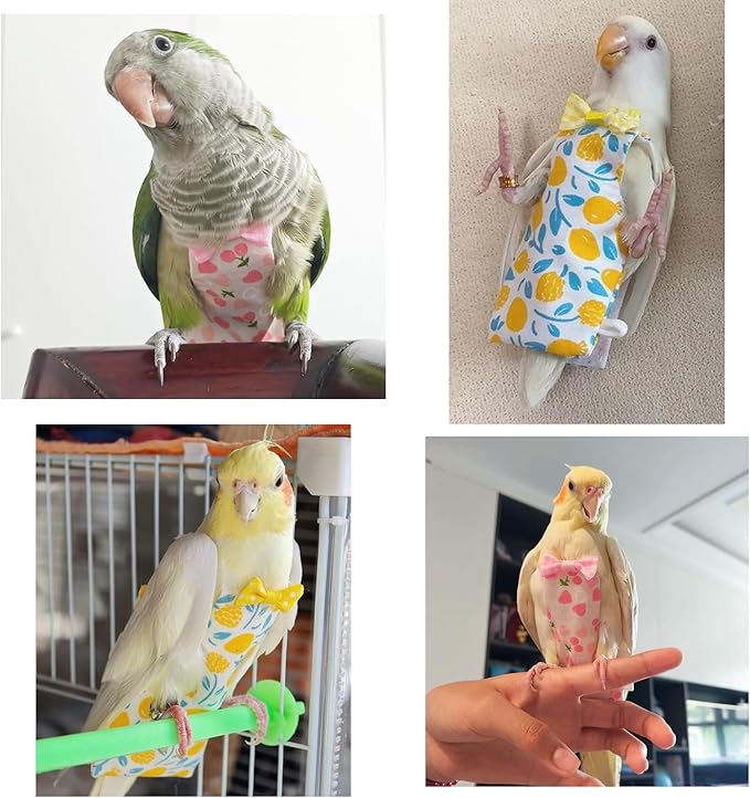 Bird Diaper Flight Suit, 3-Packs Lightweight Reusable Washable Elastic-Straps Parrot Clothes for Peony/Monk Parakeet, Prevents Poop Leaks & Feather Pecking (Bow+Lemon+Cherry, L)