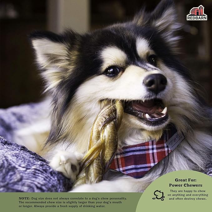Redbarn Pet Products All Natural 5"-8" Braided Bully Sticks for Small & Large Dogs - Healthy Long Lasting Beef Chews Variety Party Pack - Single Ingredient Low Odor Rawhide Free - 8 oz Bag