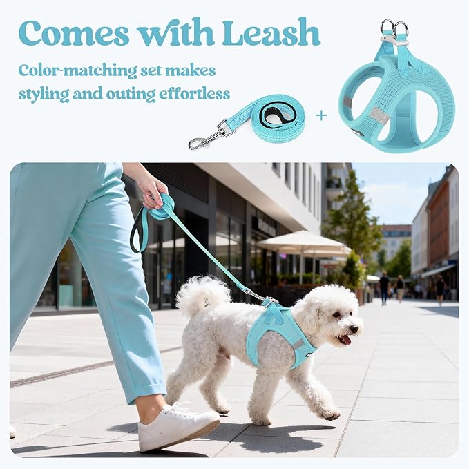 rabbitgoo Dog Harness Small Medium Sized and Leash Set, Step in Soft Light Puppy Vest, Breathable Mesh Pet Harness, Reflective for Safe Easy Walking, Mint Blue L