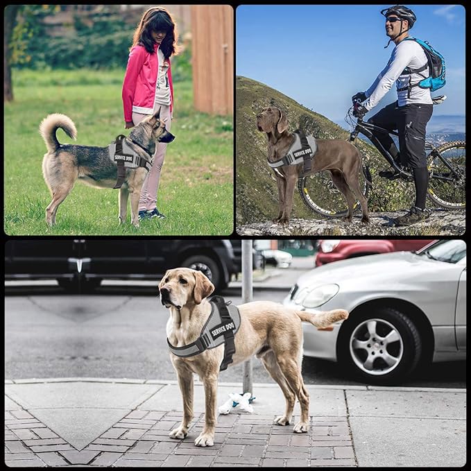 JSXD Dog Harness,No-Pull Service Dog Harness with Handle Adjustable Outdoor Pet Dog Vest 4M Reflective Nylon Material Vest for Breeds,Easy Control for Small Medium Large Dogs