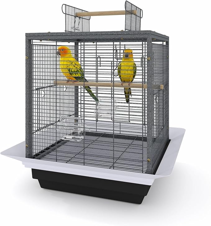 GarveeLife Small Bird Cage, 20 Inch Bird Cage, Parakeet Cage with Tray and Handle for Parrot Cockatiels Budgies Finch Lovebirds Pigeons, Black
