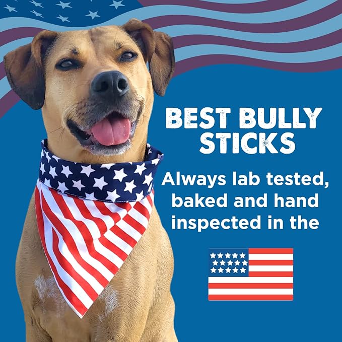 Best Bully Sticks 12 Inch Bully Sticks for Dogs - 50 Count (Pack of 1) - Natural, Easily Digestible, 100% Grass-Fed Beef, Grain and Rawhide Free
