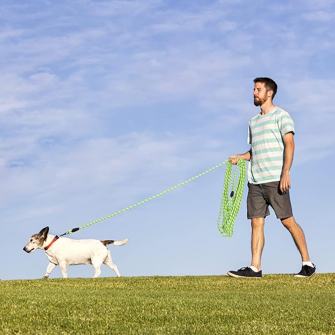 Long Dog Leash for Training 20Ft-Reflective Nylon Rope with Swivel Hook-Recall Agility Lead for Large Small Medium Dogs Outside Walking Hiking-Green