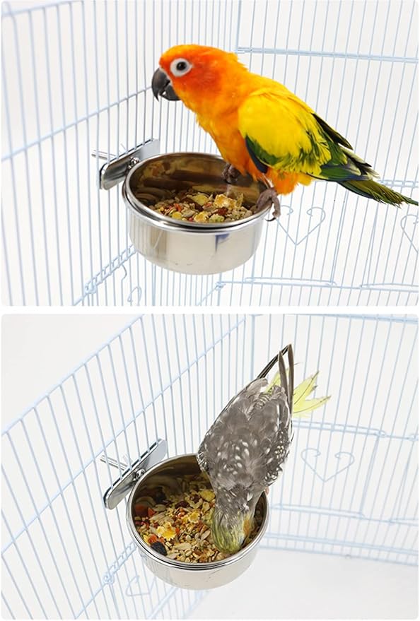 8 pcs Bird Feeding Dish Cups, Parrot Stainless Steel Food Bowl Cage Water Feeder with Clamp Holder for Parrots Cockatiel Budgies Lovebird Parakeet Feeding Cups with 8 Spoon