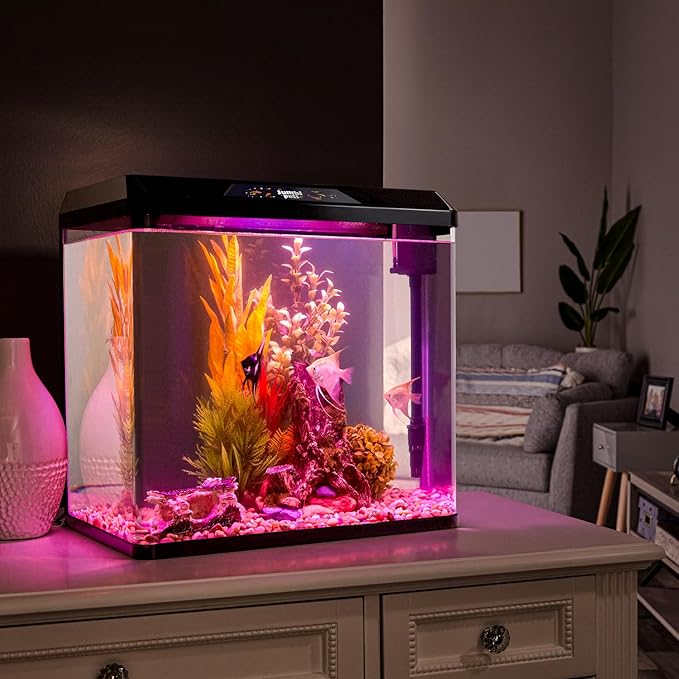 JumblPets Starter Fish Aquarium Kit, 4 Gallon, Complete Beginner Glass Fish Tanks Set with LED Lighting, Internal Filtration System, Filter Media Set, Hood & Lid, Ideal for Freshwater and Marine Fish