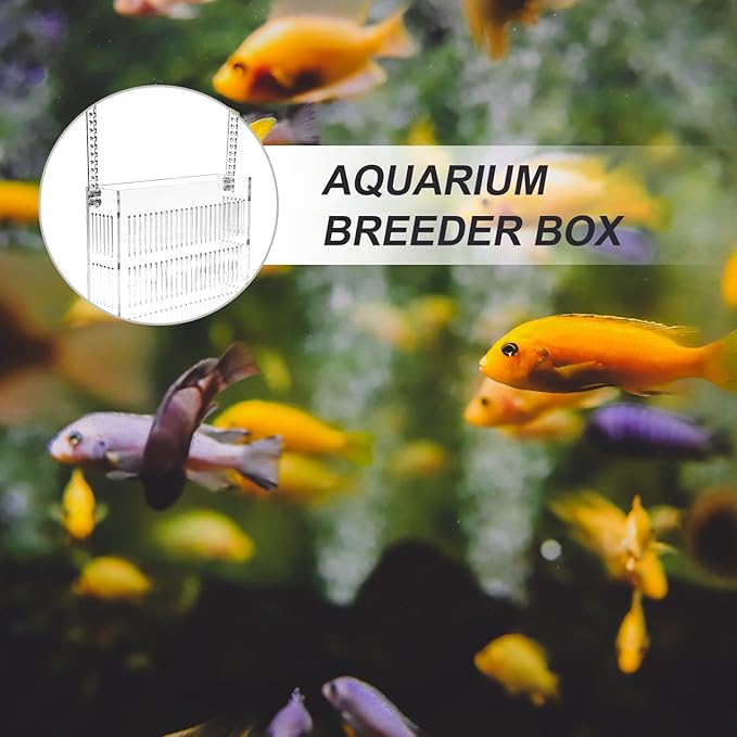 Fish Breeding Box Acrylic Incubator Tank with Hanging Design, Medium Aquarium Nursery for Fry and Guppy Fry Isolation in Home Aquariums