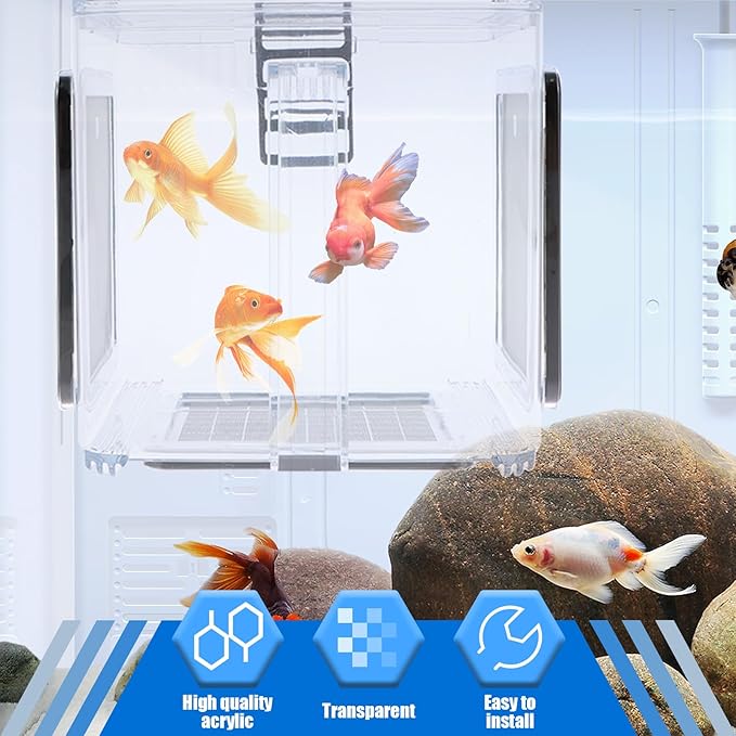 Fish Breeding Box, Fish Isolation Box, Acrylic Fish Isolation Hatchery Tank, Hanging Aquarium Fish Incubator Box with Detachable Mesh Lid for Baby Fish Guppy Betta Newborn Fish Shrimp 5.9x5.9x5.9