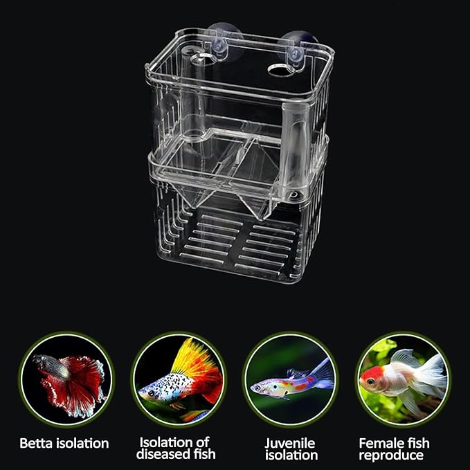 Fish Breeding Box - 20.5*9.5*9.9cm Acrylic Hatchery Incubator Tank Fish Tank Divider | Fishes Tanks Incubator Breeding Box | Aquarium Breeder BoxFish Acclimation Boxes Nursery For Injured Hatchery Inc