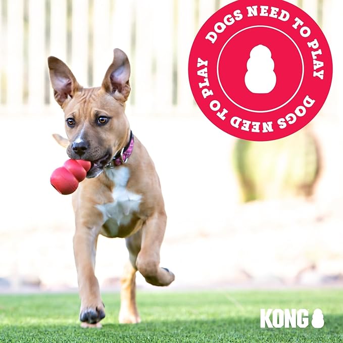 KONG Puppy Flyer - Soft Rubber Flyer Dog Toy - Flying Disc Dog Toy for Puppies - Gentle Rubber Toy for Growing Puppies - for Small Puppies - Randomly Provided Color