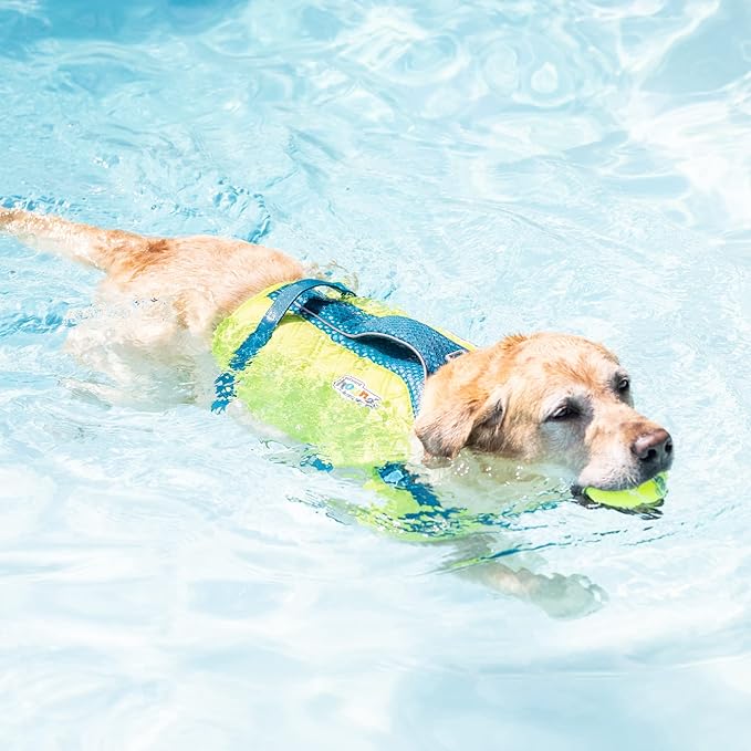 Outward Hound Standley Sport Dog Life Jacket, High-Performance Ripstop Dog Life Vest for Swimming, Boating, and Water Safety, Medium, Green