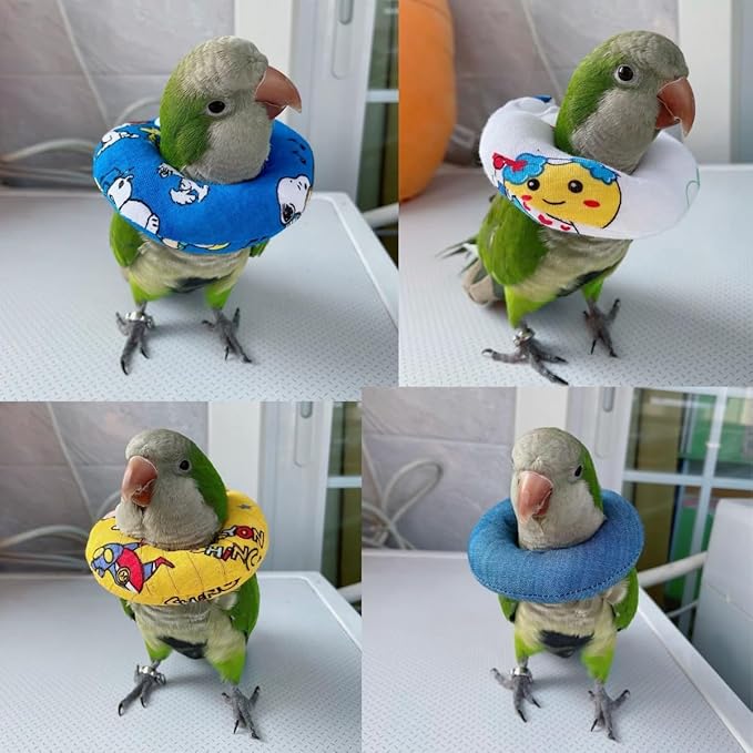 Parrot Neck Collar Pet Anti-bite Picking Feather Healing Protective Neck Cover Collar for Birds Conures Cockatiels Lovebirds Budgies Cockatoos African Grey Random Color (XL)