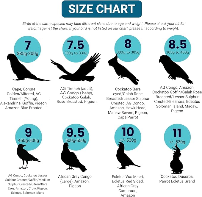 Bev's Bird Boutique Regular Flyper Adjustable Bird Diaper | Reusable, Washable Cloth | Comfort Fit for Parrot, Cockatiels, & Other Small Birds | Fashionable Avian Accessories, Dungaree Jeans, Size 8.5