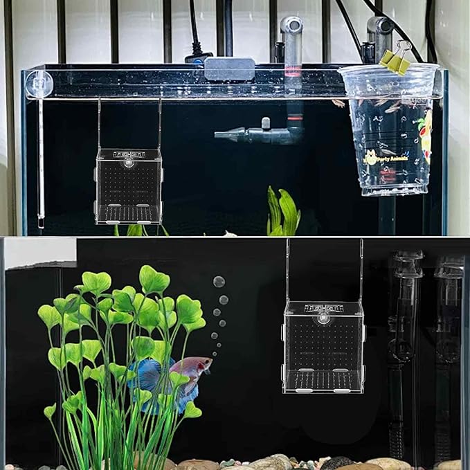 3.9 x 3.9 x 3.9 inch Acrylic Fish Breeding Box, Transparent Isolation Hatchery Incubator with Suction Cups for Guppy Shrimp Small Baby Fishes Aquarium Nursery Tank