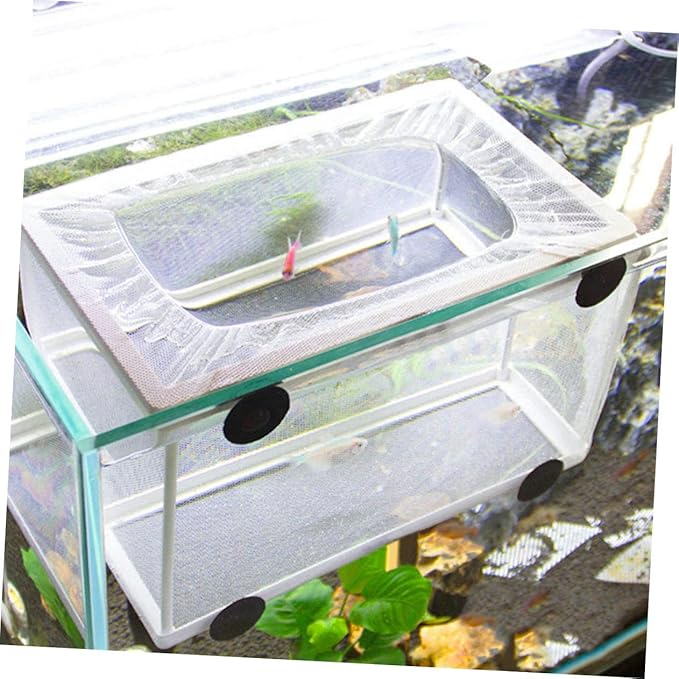balacoo 3pcs Fish Hatchery Breeding Box Mesh Fish Breeding Tank Aquarium Isolation Box Suction Cup for Easy Install