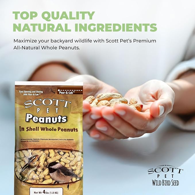 Scott Pet Wild Bird Seed, Whole Peanuts, 4 lbs Bag, Feed, Great Source of Protein and Fiber, Peanuts for Outside Wild Birds