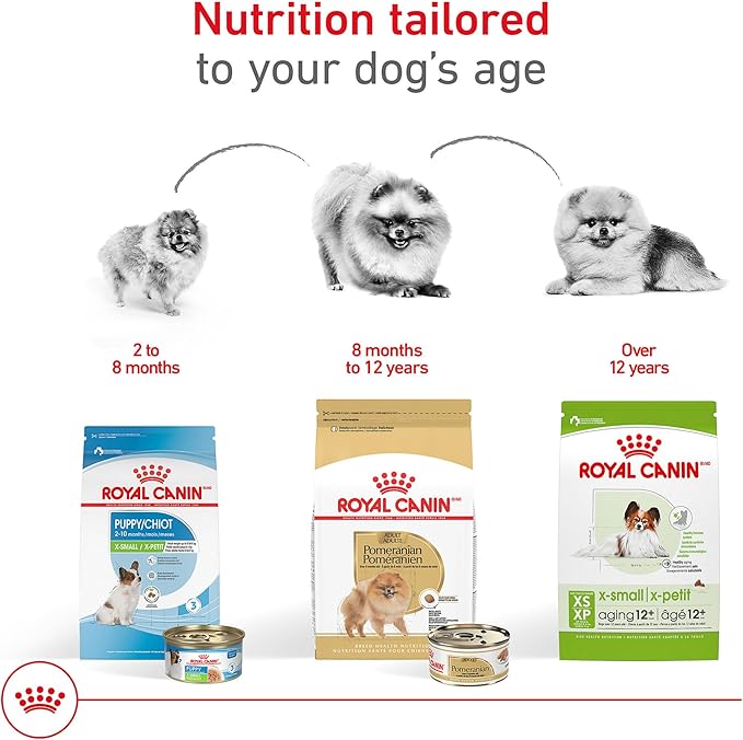 Royal Canin Breed Health Nutrition Pomeranian Adult Loaf in Sauce Dog Food, 3 oz (Pack of 6)