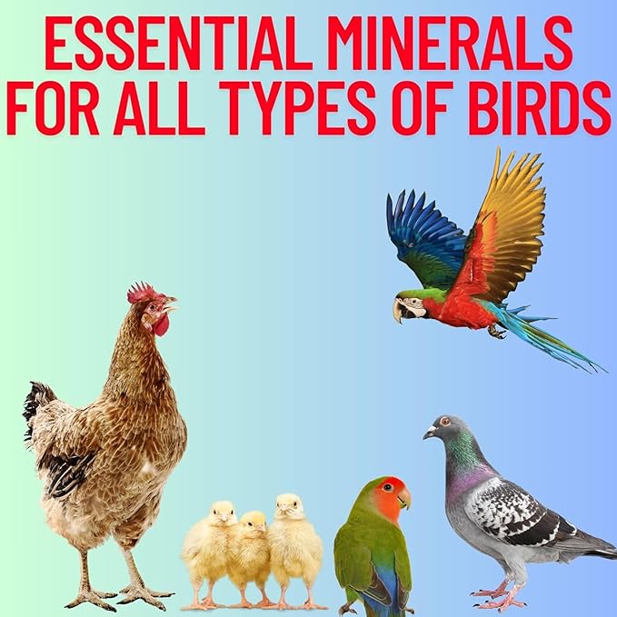 Red & Lime Stones Mix Grit Minerals, High Calcium Supplement, Designed to Promote Strong Bones, Better Digestion, and Overall Well-Being for Pigeons, Small Cage Birds, Duck and Chickens 10 Pounds Bag