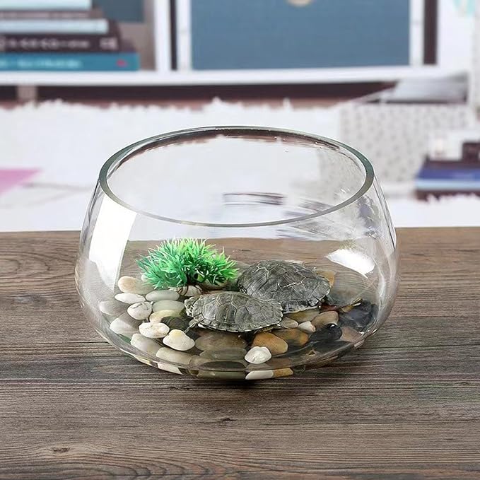 Thickened Round Glass Turtle Tank Mini Aquarium Fish Bowl for Home Desktop Micro Landscape Aquatic Plants Vase