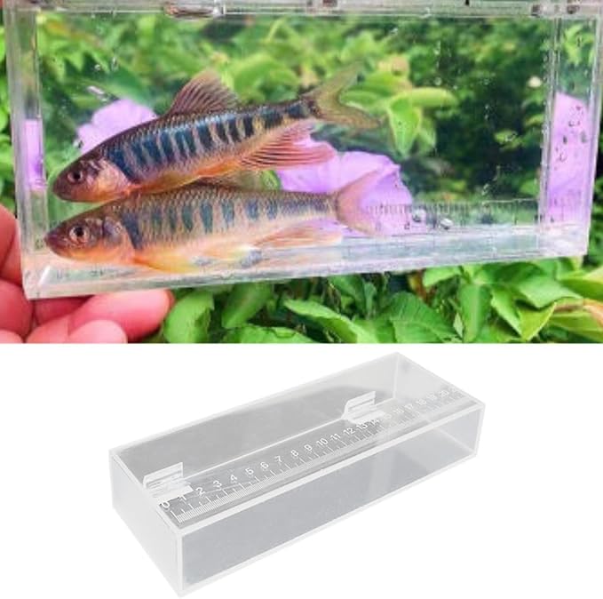 Aquarium Fish Isolation Box Portable Reusable Clear Acrylic Box with Scale Mini Aquariums Fish Breeding Tanks, 22x4.2x8cm