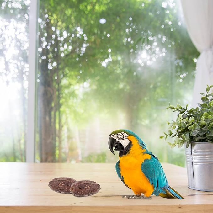 8pcs Natural Dried Fruit Bird Chewing for Parakeet Cockatiel Budgie Parrot Biting Treats Healthy Cage Accessories to Reduce Loneliness and Provide Fun Enrichment