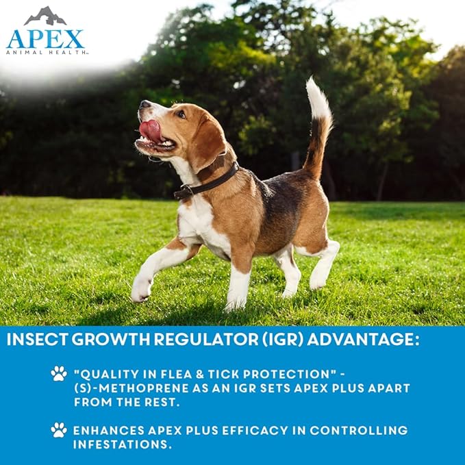 Apex Plus Flea and Tick Prevention for Dogs | Medium (23-44 lbs) | 6-Month Supply | Dog Flea and Tick Treatment | 24-Hour Activation, Waterproof, 30-Day Protection